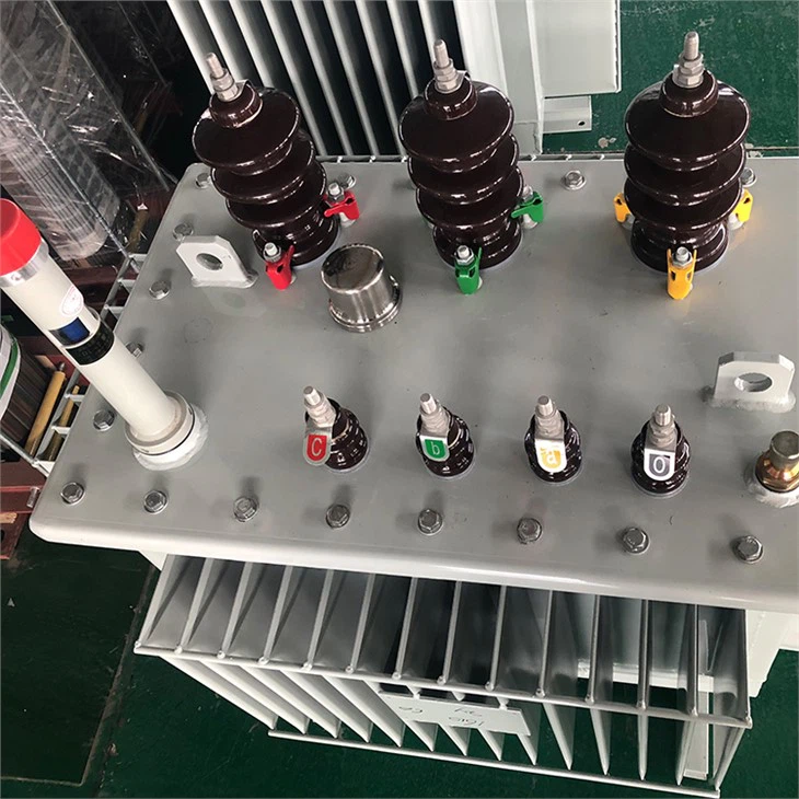 100 KVA 3 Phase Oil Coole Distribution Transformer